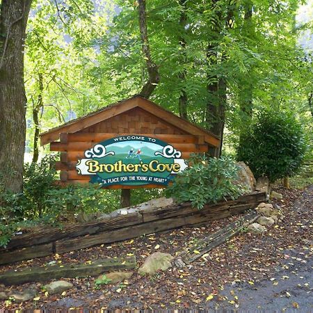Bearfoot Inn #35 Sevierville Buitenkant foto