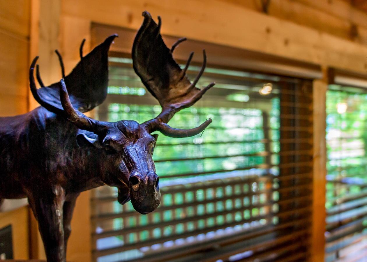 Bearfoot Inn #35 Sevierville Buitenkant foto